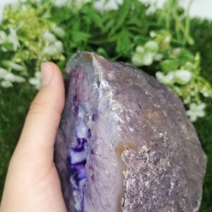 Puede incluir: Una gran geoda de &aacute;gata p&uacute;rpura con un exterior natural y rugoso y un interior liso y pulido. La geoda est&aacute; parcialmente abierta, revelando una hermosa formaci&oacute;n de cristales p&uacute;rpuras y blancos.