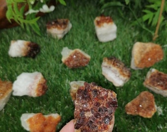 Puede incluir: Una colección de cristales de citrino en bruto, que muestran una gama de tonos amarillo dorado y marrón. Los cristales se exhiben sobre un lecho de césped artificial verde, algunos sostenidos en una mano. Los cristales varían en tamaño y forma, con una textura rugosa y natural.