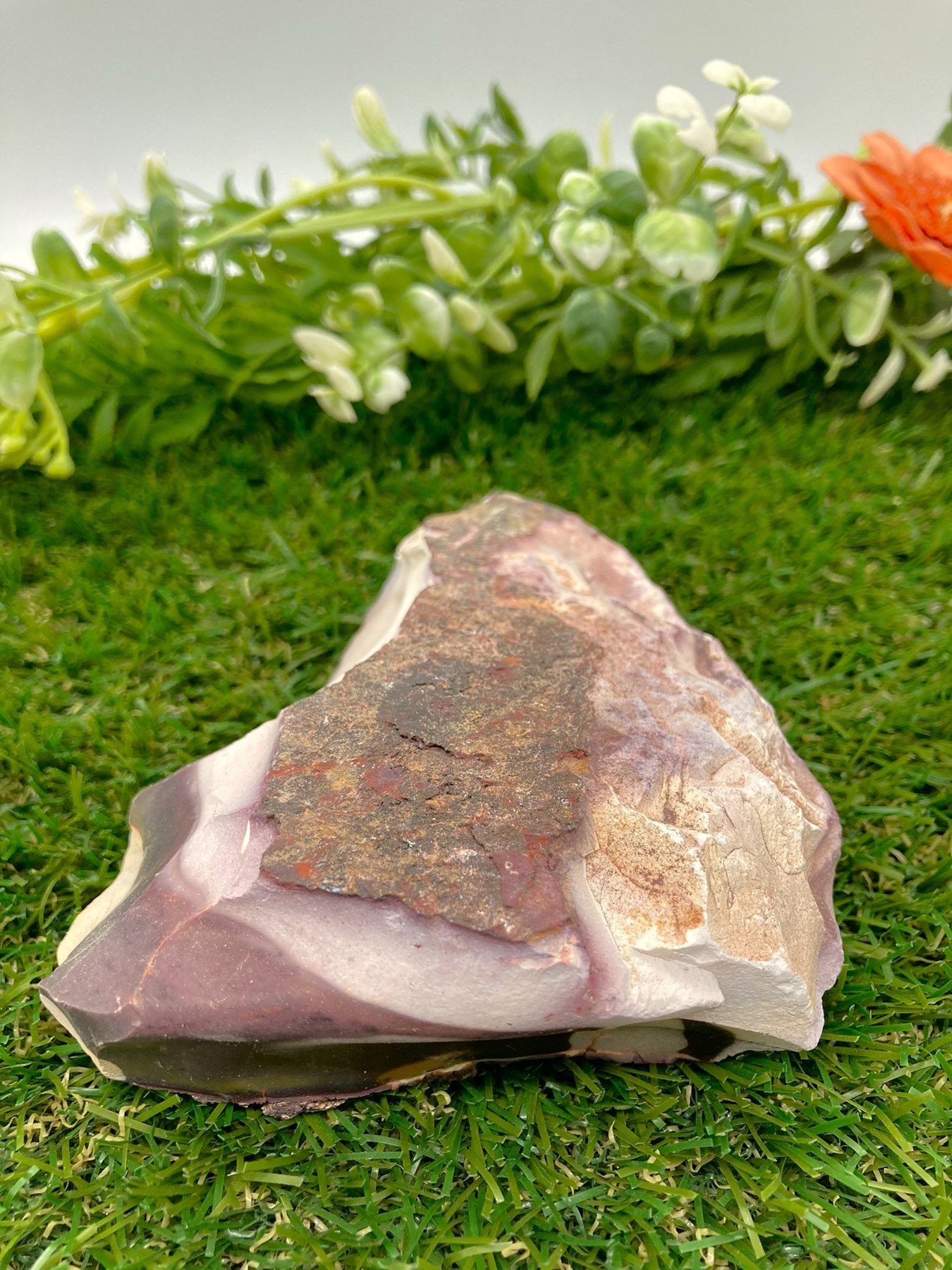 Raw Mookaite Jasper Specimen: Collector Display Stone - Etsy