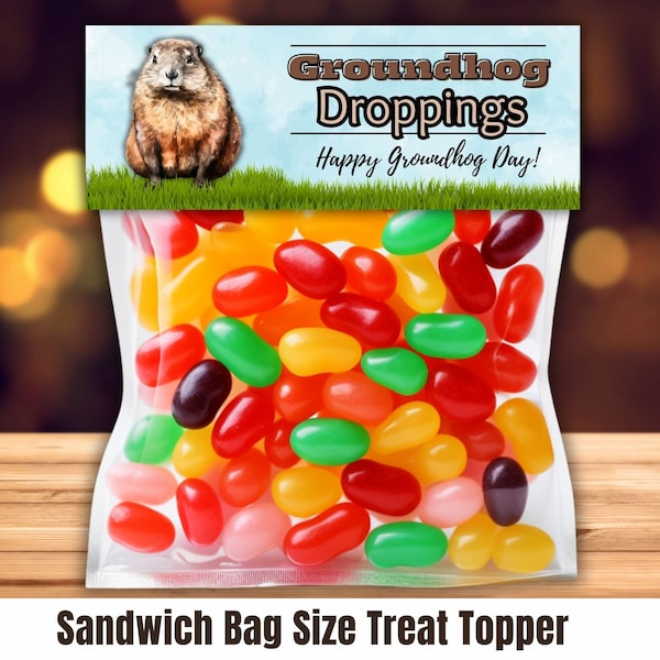 Groundhog Day Bag Toppers Printable, Funny Treat Bag Toppers for Groundhog Day, Groundhog Droppings Bag Topper, Groundhog Party Goodie Bag