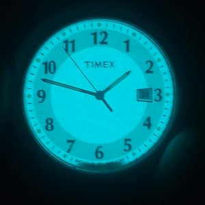 Timex Men&#39;s Silver & Gold Indiglo Watch with Lizard Leather Band – 37mm Case