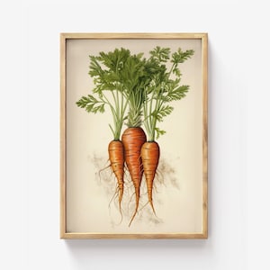 Carrot botanical print, vintage root vegetable art, rustic kitchen decor, orange green garden poster