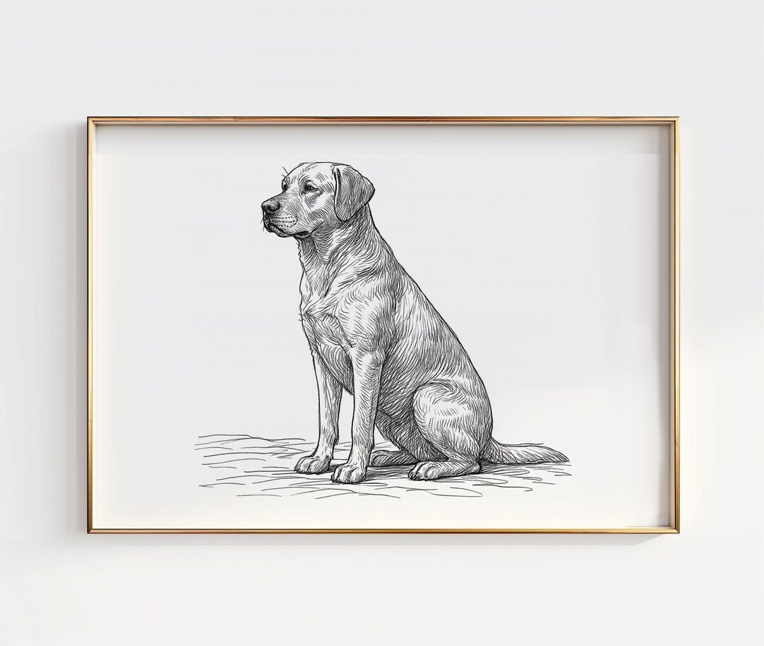 Labrador Retriever Line Drawing Wall Art Yellow Lab Artwork Chocolate ...