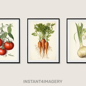 Botanical prints set of 3, botanical wall art tryptic, antique botanical prints, antique botanical drawing, Instant4Imagery - 0029