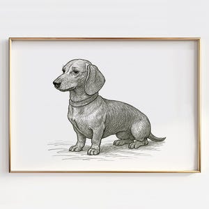 Dachshund Line Art Print: Sausage Dog Illustration (Digital Download)