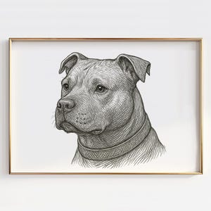 Pit Bull Line Art Print: Realistic Dog Portrait (Digital Download)