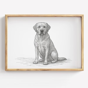 Vintage Labrador Retriever Line Drawing – Black & Yellow Lab Artwork, Dog Painting, Dog Lover Wall Art, Classic Pet Decor
