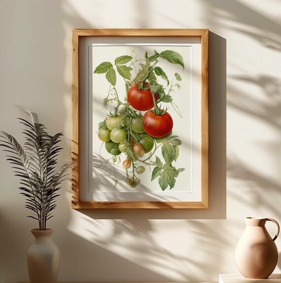 トマトの植物イラストアートプリント（デジタルダウンロード） - Etsy 日本