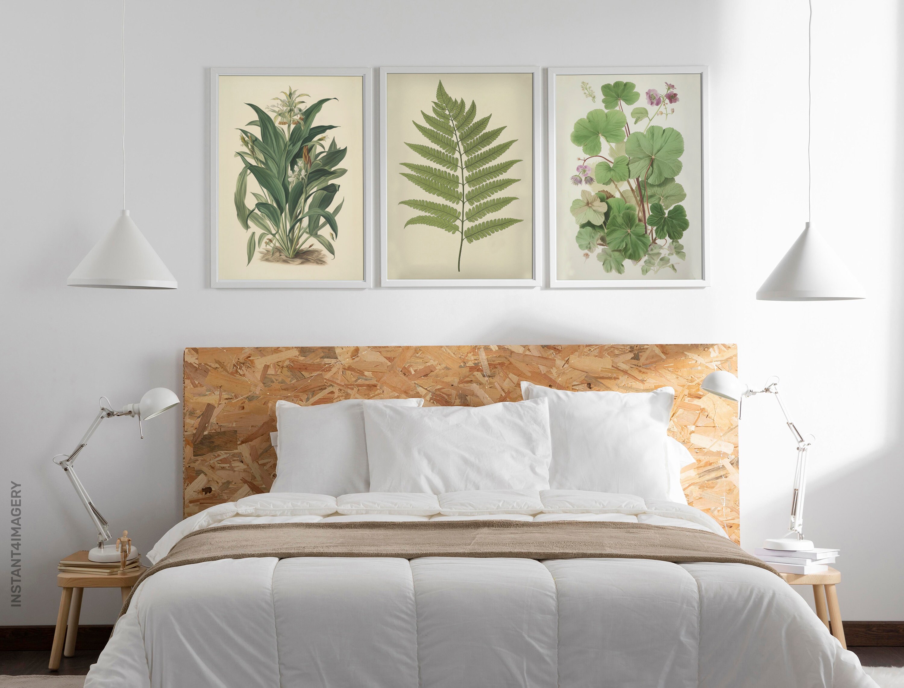 Vintage Botanical Prints Set of 3, Vintage Floral Illustrations ...