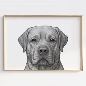 Lab Retriever Close-Up Line Drawing – Labrador Art, Yellow Lab Poster, Dog Lover Wall Art, Labrador Canvas, Pet Portrait Print