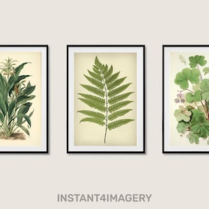 Set vintage botanische prints: illustraties met bloemenblaadjes (digitale download)