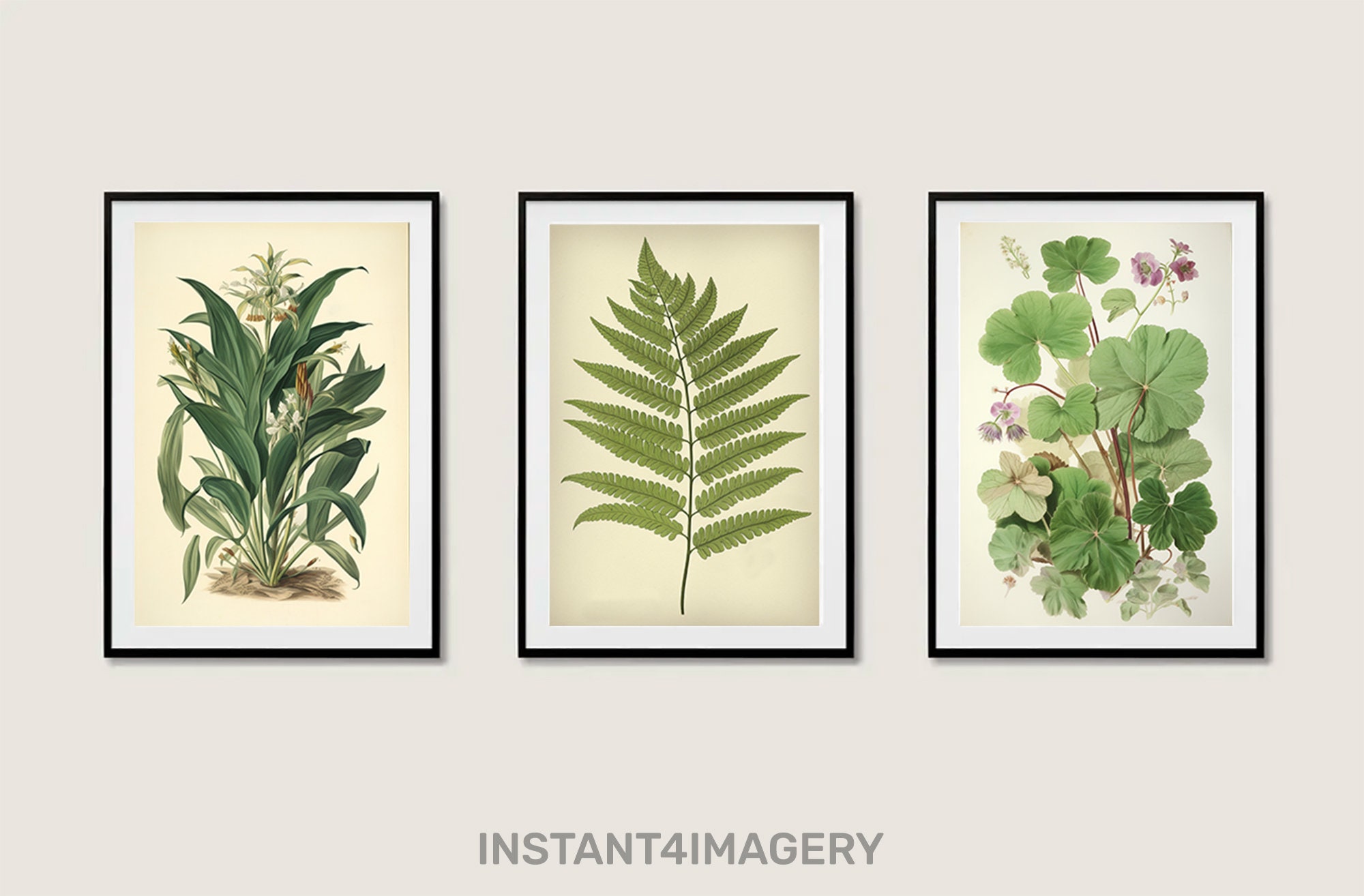 Vintage Botanical Prints Set of 3, Vintage Floral Illustrations ...