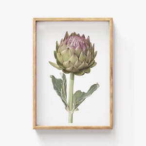 Artischocke botanische Illustration, grün lila Küche, rustikale Illustration vom Bauernhof