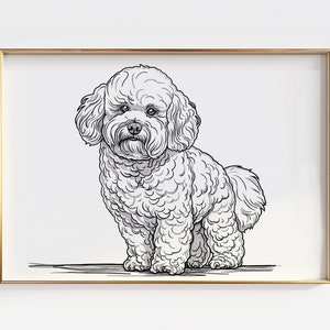 Bichon Frise Line Drawing Art Print (Digital Download)