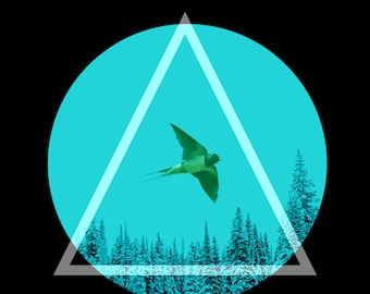 Little Swallow - Arte Digital