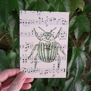 Cartolina musicale dello scarabeo verde