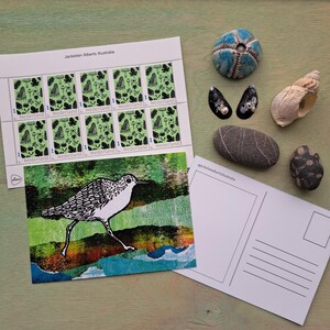 Cartolina di Sanderling