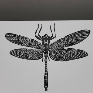 May include: Black and white line art print of a dragonfly with detailed wings and a long, segmented body.