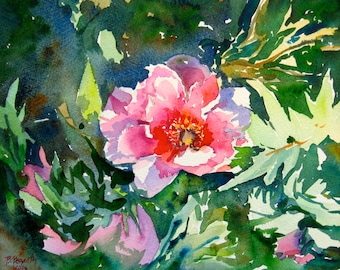 Watercolor Flowers, Watercolor Print, Pink Tree Peony Print, Peony, Pink Peony, 8 x 10 Print, Pink, Orange, Light Green, Dark Green