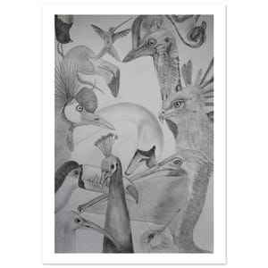 Birds - Fine Art Poster A2 (42 x 59.4 cm)