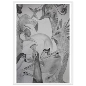 Vögel – Poster im Holzrahmen – A2 (42 x 59,4 cm)