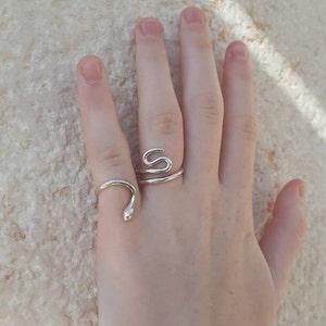May include: Two silver snake rings, one with a coiled snake design and the other with a snake head and body, worn on a finger.