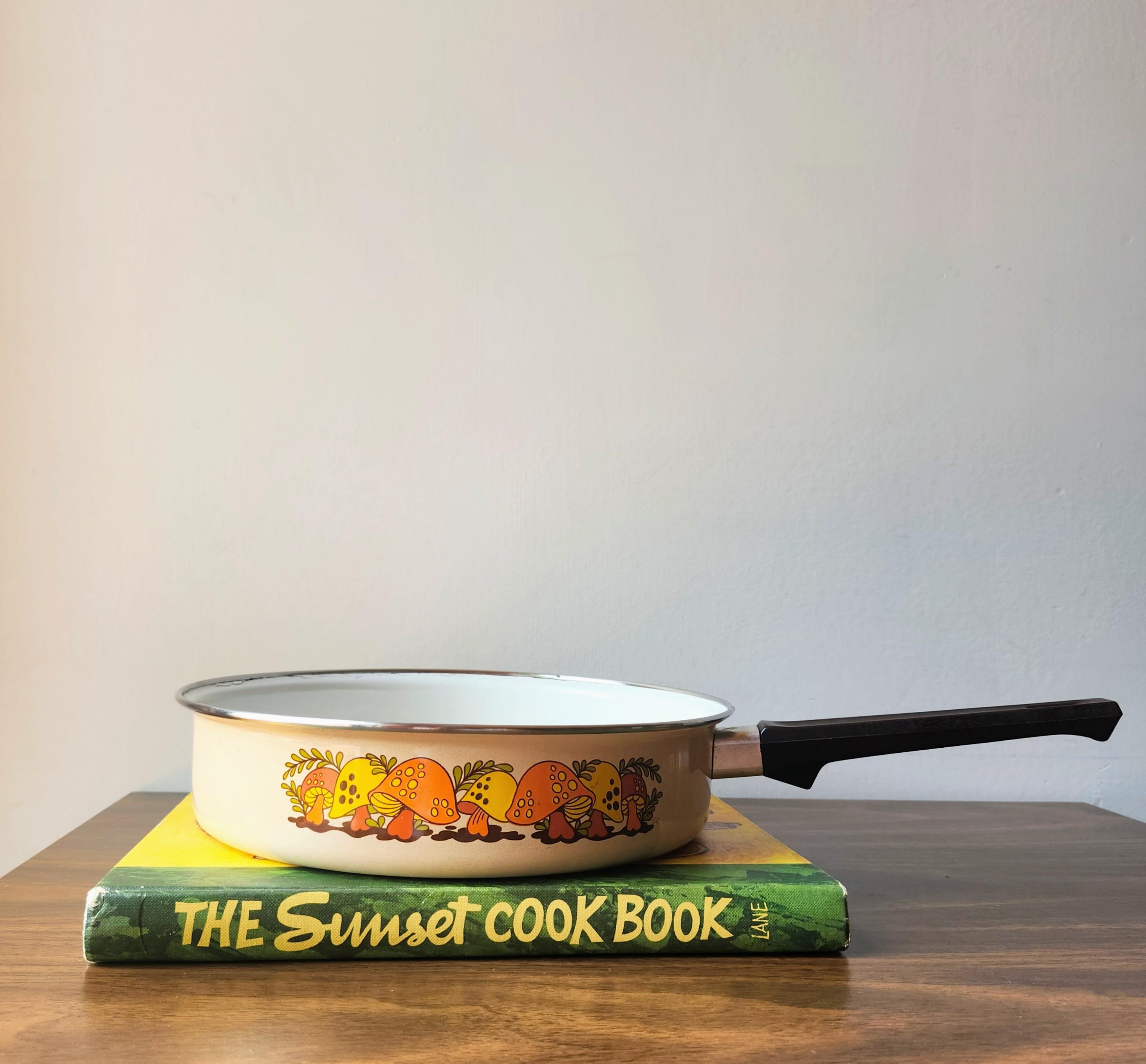 merry mushroom 10 inch enamel pan