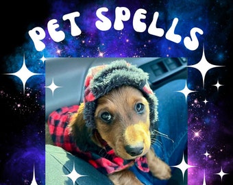 Pet Spells: Protection, Healing, Welcoming, Releasing