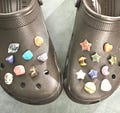 Crystal Croc charms - Tumbles and Carvings - Natural Crystals - Take Your Favorite Crystals with You Wherever You Go!