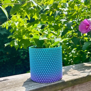May include: A cylindrical plant pot with a textured, bubble-like pattern. The pot transitions in color from teal to blue to purple. The pot contains a small green plant with ivy-like leaves. The background features green foliage and a pink flower.