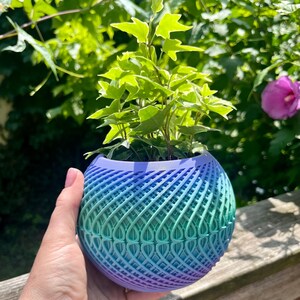 May include: A small, spherical planter with a gradient of blue and green hues, holding a vibrant green plant. The planter has a unique, woven design. The plant has light green leaves with white edges. A pink flower and green foliage are in the background.