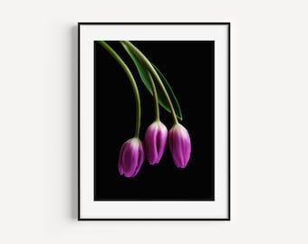 Pink Tulips Spring Flower Wall Art Printable - Colorful Botanical Floral Art Print, Perfect for Spring Home Decor, Instant Digital Download