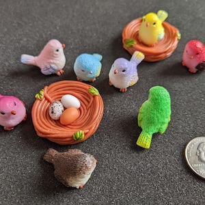 Colorful Nesting Birds