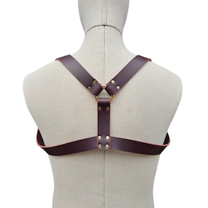 May include: A brown leather harness with gold metal hardware. The harness has a ring in the center and adjustable straps.
