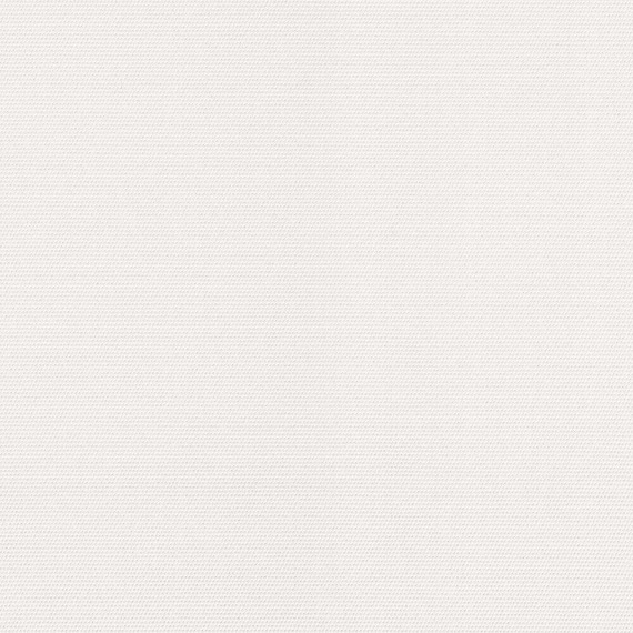 Off white best sale canvas