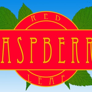 Herbal Tea - Raspberry Leaf