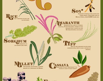 Gluten-Free Grains Poster (Green)