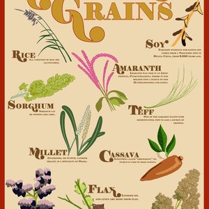 Gluten-Free Grains Poster (Red)