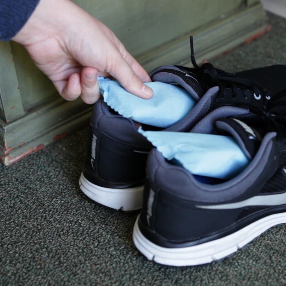 bamboo charcoal shoe deodorizer