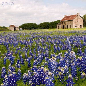 Marble Falls Bluebonnet House