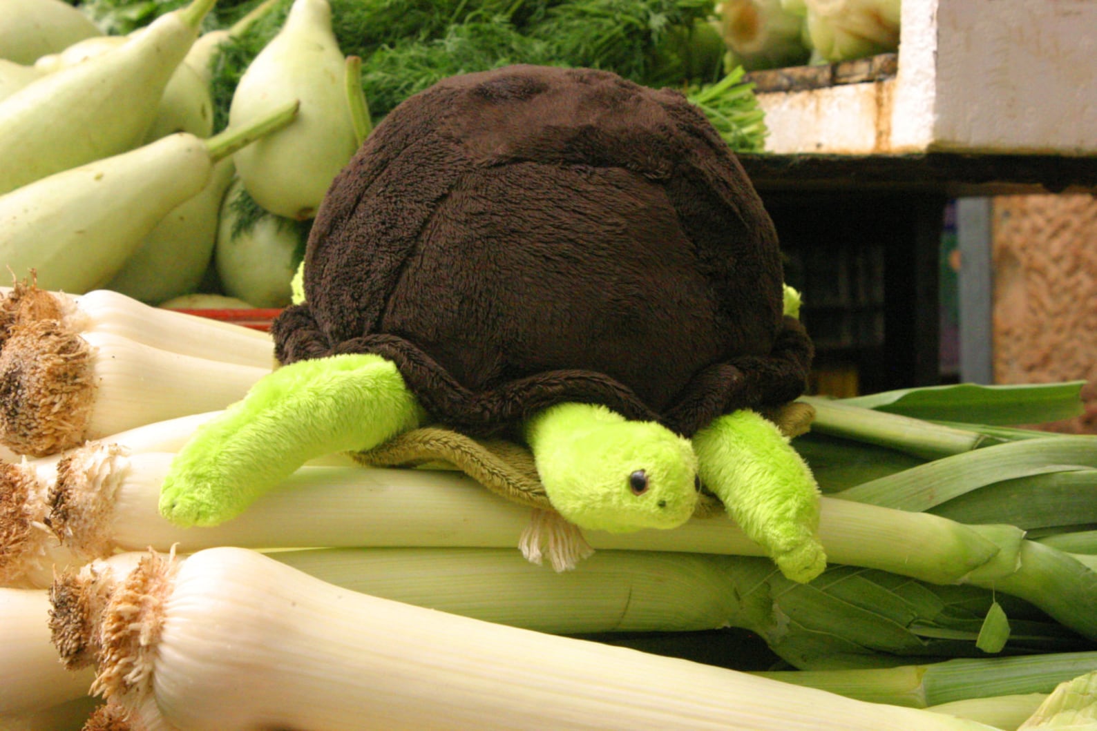 Turtle Softie PDF Sewing Pattern Interactive soft toy that | Etsy