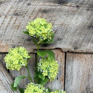32&quot; Green Snowball Hydrangea Spray, Artificial Hydrangea Florals, Green Hydrangea Spray, Snowball Hyndrangeas, 79421