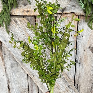May include: A bunch of artificial greenery with small green leaves and yellow flowers.