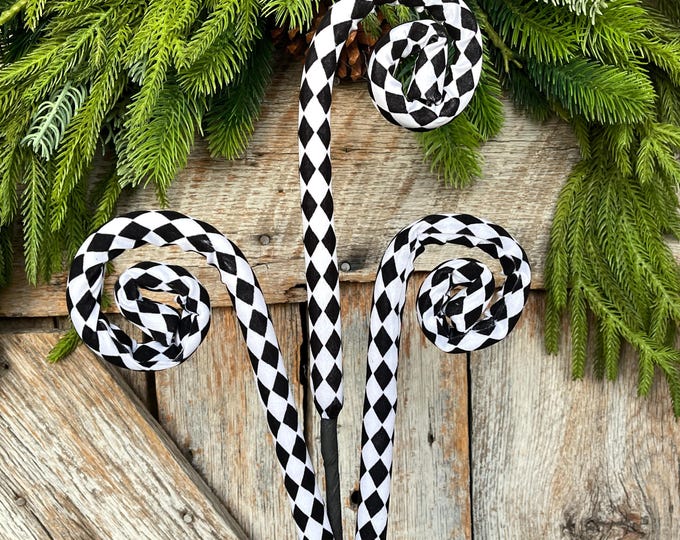 Harlequin Curly Spray: Black & White Curly Stem - 30"