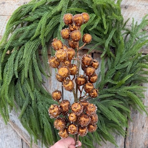 May include: A decorative floral stem featuring numerous round, copper-colored berries with a textured, glittery finish. The berries are clustered along thin, brown branches, creating a dense, spherical arrangement on a single vertical stem.