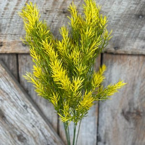 20&quot; Christmas Pine Bush