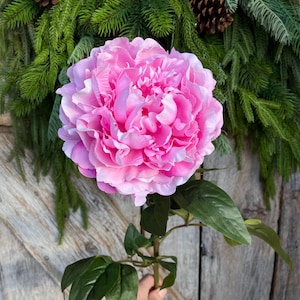 May include: A large, vibrant pink peony flower with multiple layers of petals. The flower is held by a green stem with several leaves. The background includes a wooden door and a green wreath with pinecones.