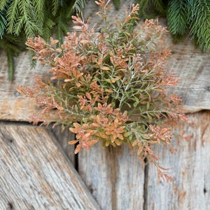 May include: A close-up of a decorative plant arrangement featuring a cluster of small, orange-brown leaves and green foliage. The plant is set against a rustic wooden background, with evergreen branches and pinecones in the background.