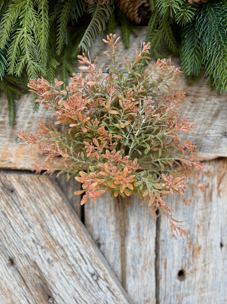 May include: A close-up of a decorative plant arrangement featuring a cluster of small, orange-brown leaves and green foliage. The plant is set against a rustic wooden background, with evergreen branches and pinecones in the background.
