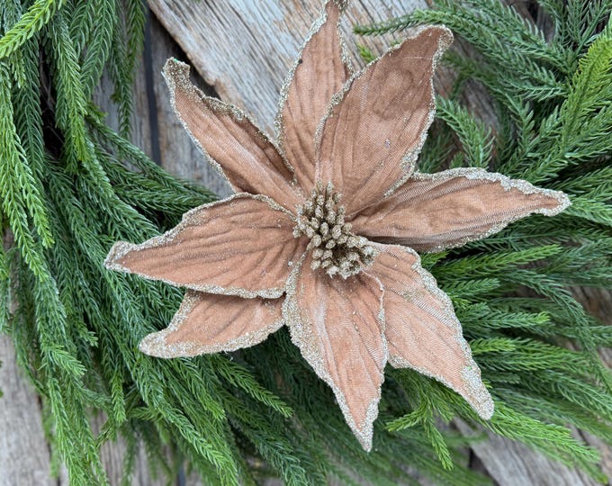24" Tan Velvet Poinsettia Stem